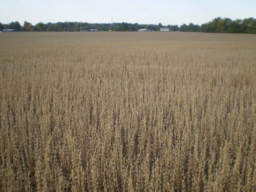 Property photo 20 - 75+/- Acres in 9 Tracts